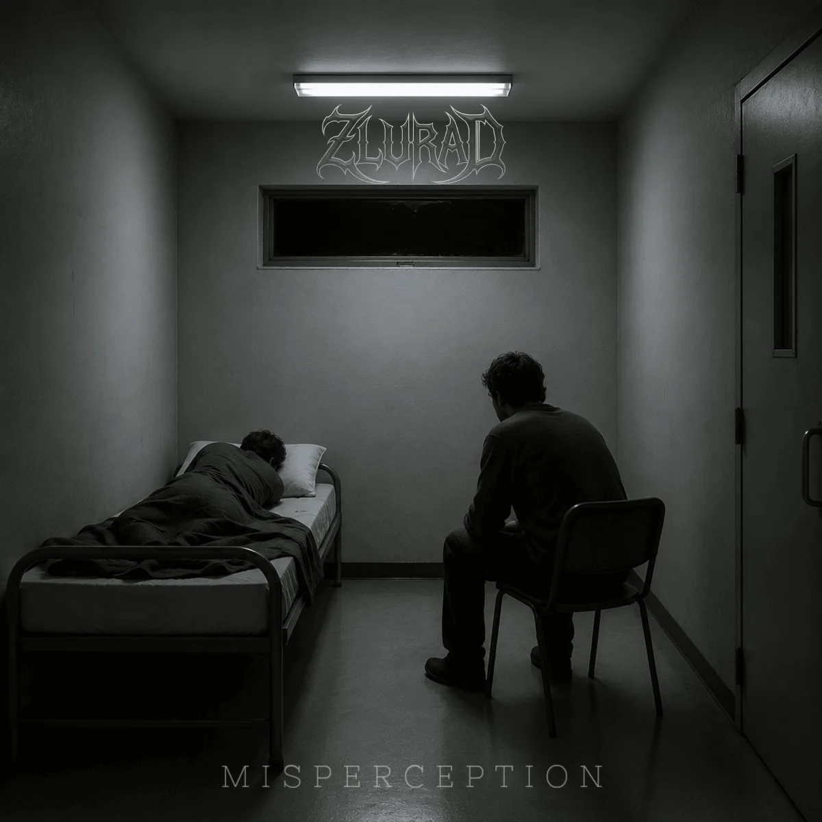 Misperception album cover